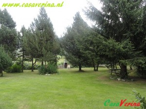 DSC02921-001